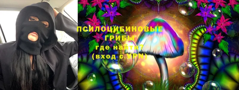 блэк спрут сайт  закладка  Сафоново  Галлюциногенные грибы MAGIC MUSHROOMS 